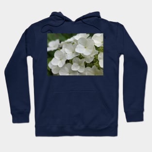 White flowering tree cluster of flowers photographic image Hoodie